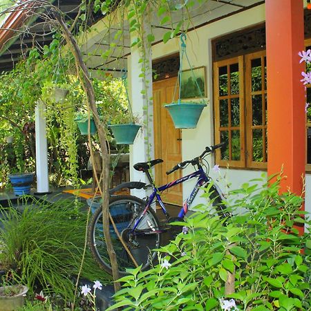 Nature Night Homestay Sigiriya Exteriér fotografie